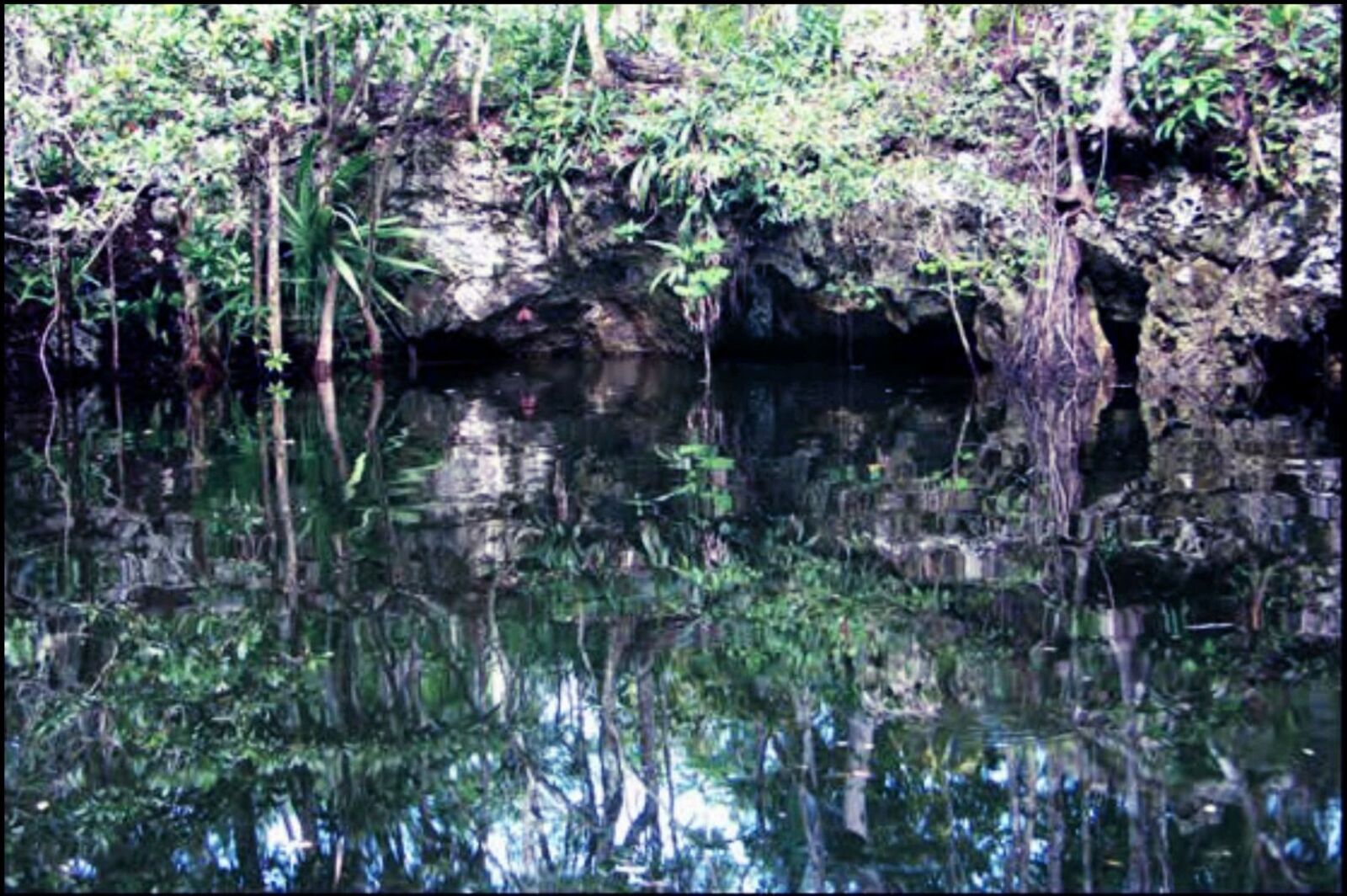Cenote Sagrado, open to the sky and ringed by jungle