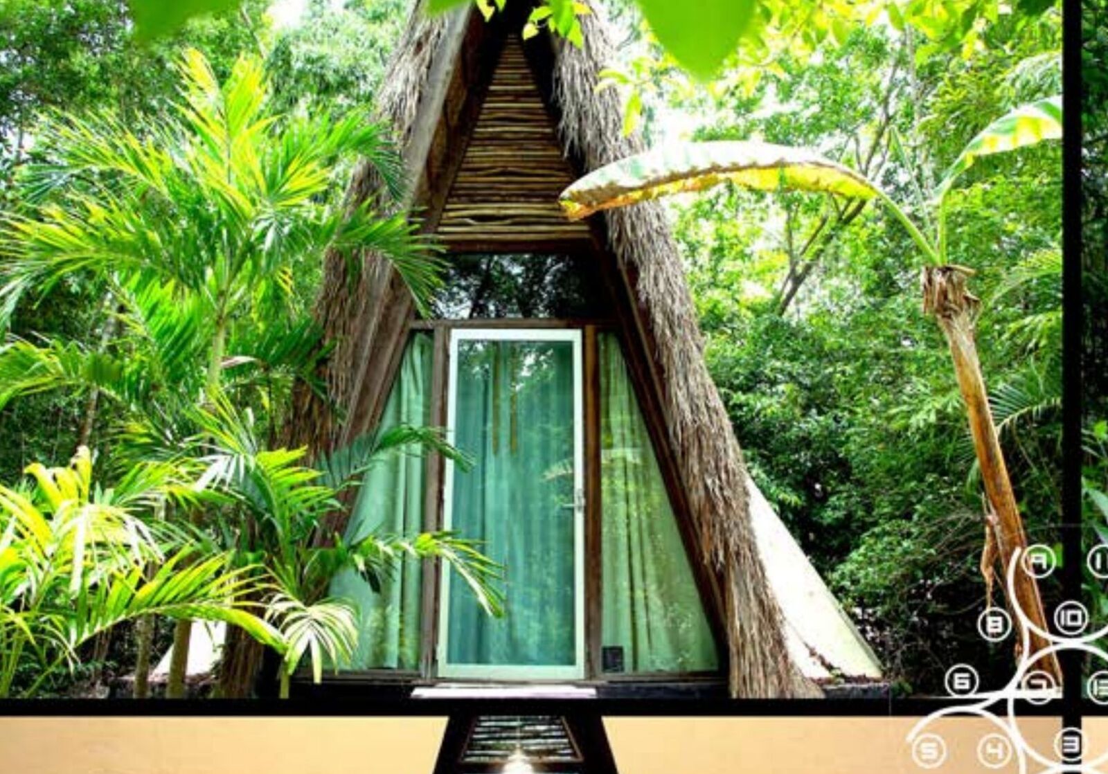 A-frame Cone studio tucked into the jungle
